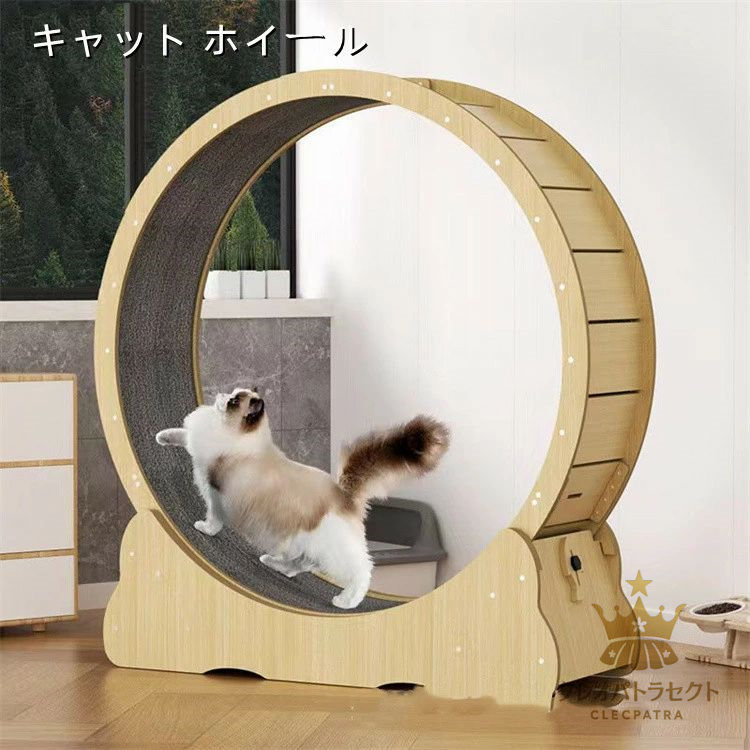 【クーポンで10％オフ】サンダル 厚底 痛くない EVAサボサンダル スリッポン スリッパ ガーデニング 厚底 履きやすい レディース アウトドア カジュアル ブラック カーキ ブラウン ベージュ 軽量 防水 ワンマイルシューズ 楽ちん