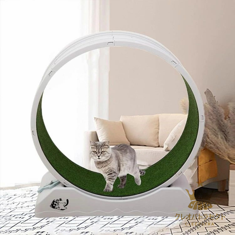 【楽天市場】キャットホイール 猫 回し車 ロック装置内蔵 静音低ノイズ 猫専用ルームランナー 猫 ランニングホイール キャットウォーク 運動
