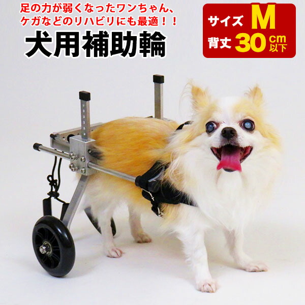 3 犬用車イス 21 マラソンp5倍 クーポン 問合せ予約承ります Mサイズ 自撮り棒 送料無料 犬用補助輪 Mサイズ 犬用車椅子 中型犬用 ドッグウォーカー 犬用車イス ペット用車イス ペット用車椅子 ペット用補助輪 リハビリ用歩行補助具 老犬 高齢犬 シニアドッグ 犬 3 犬用車イス 21 マラソンp5倍 クーポン 問合せ予約承ります Mサイズ 自撮り棒 送料無料 犬用補助輪 Mサイズ 犬用車椅子 中型犬用 ドッグウォーカー 犬用車イス ペット用車イス ペット用車椅子 ペット用補助輪 リハビリ用歩行補助具 老犬 高齢犬 シニアドッグ 犬
