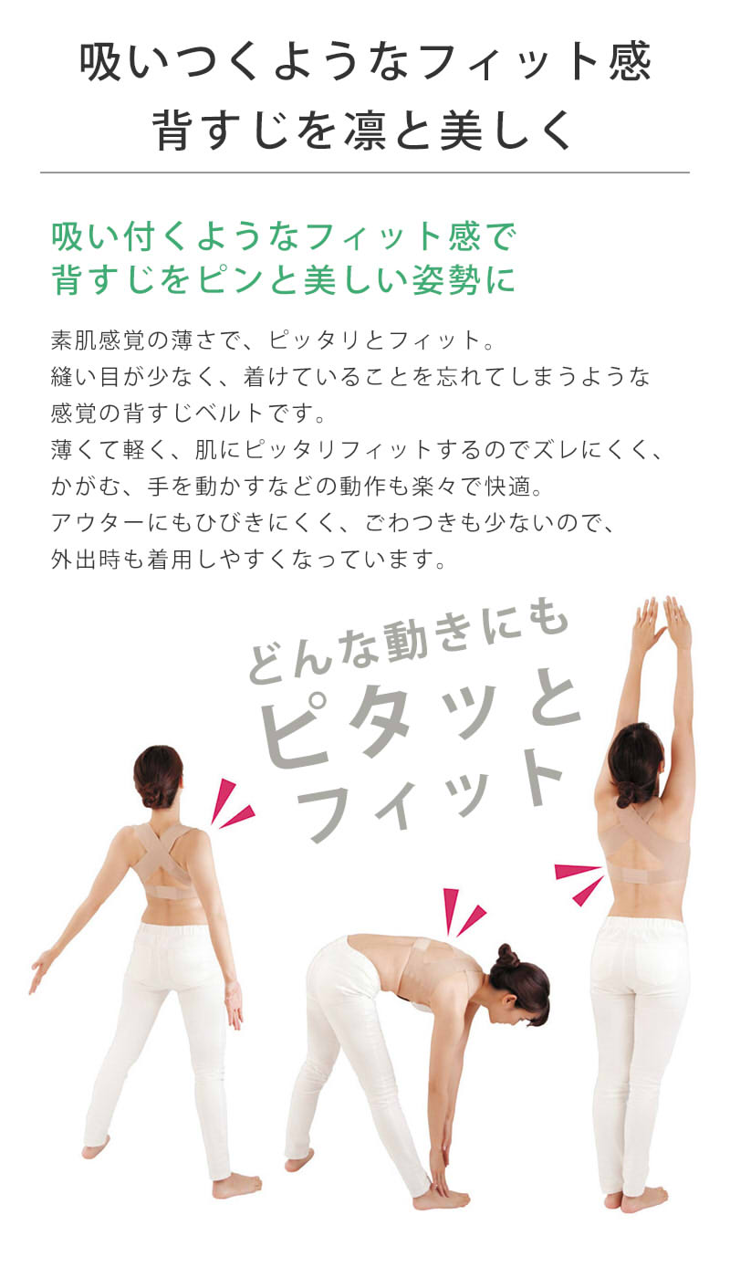 お医者さんの背すじベルト お医者さんの背すじベルト