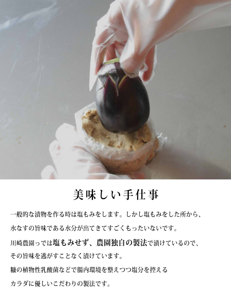 P3 2倍 Max12倍 つん辛漬け 泉州産水なす漬 高級 水茄子 塩糀漬け 水ナス漬物 極 ぬか漬け 水ナス 水なす 泉州水なす 父の日 6個入 漬物