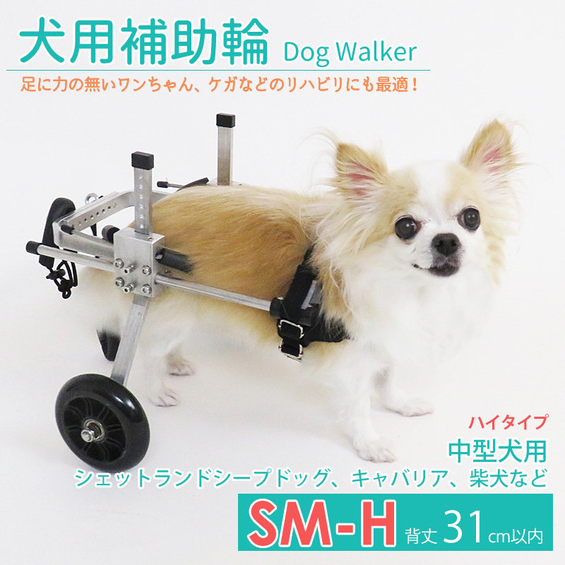 楽天市場】【5のつく日☆P5倍+MAX12倍】犬用補助輪 Mサイズ 犬用車椅子