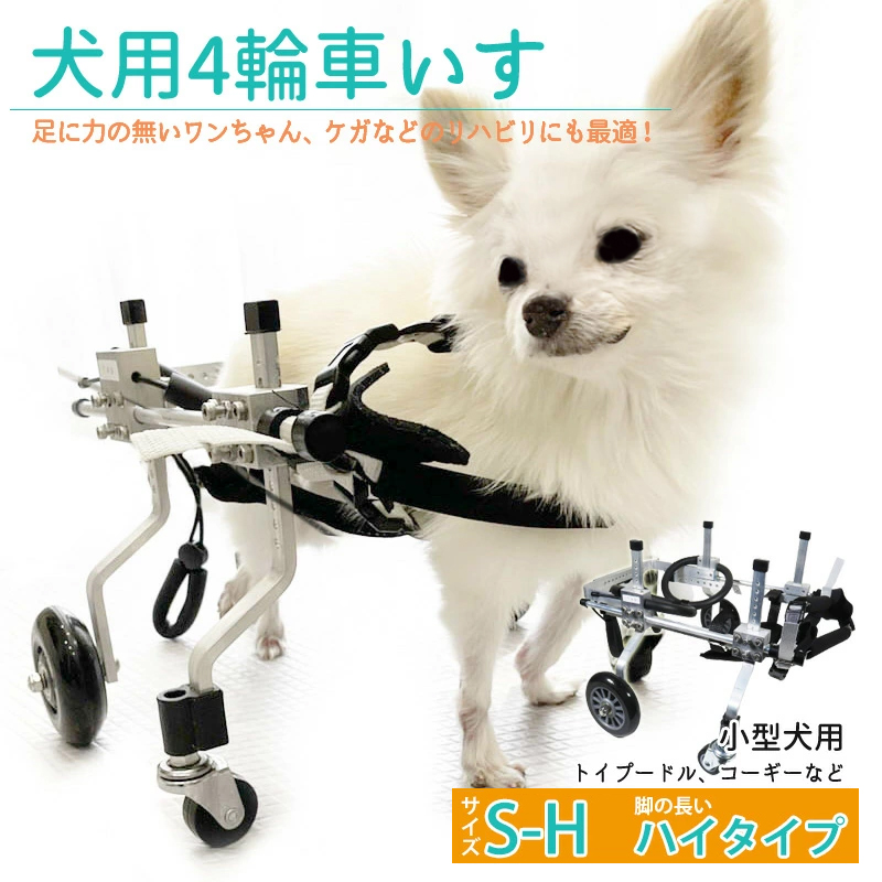 楽天市場】歩行器 犬用 補助輪 犬用車いす チワワ 超小型犬 老犬 SS 