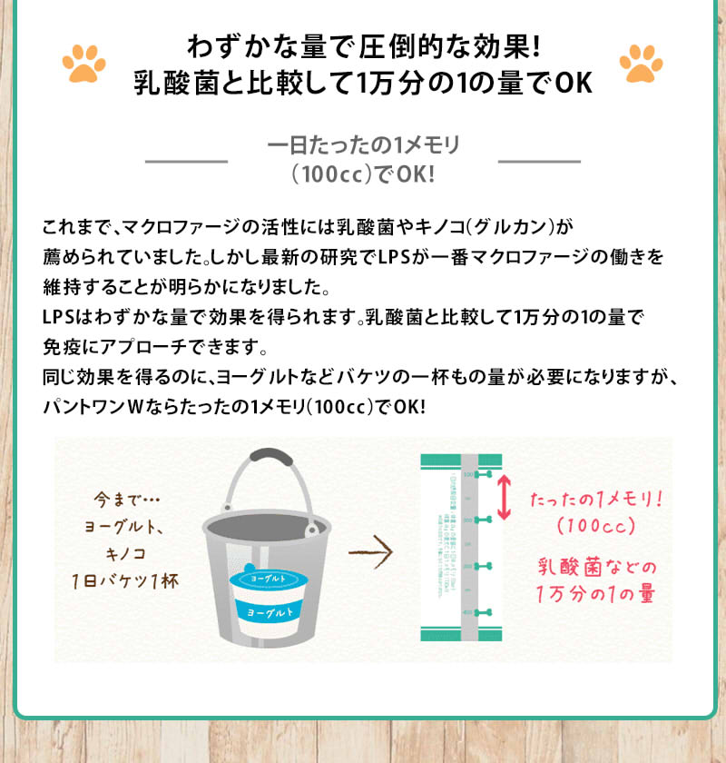 時 F Sale Max10倍sale パントワンｗ 猫用 お水のサプリ Petwater 小型犬 500mlx12本