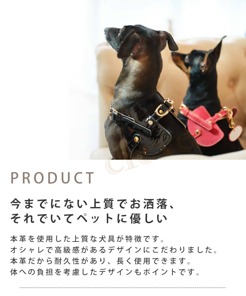 市場 NowFountain ナチュラル ボディーベルトシリーズ ナチュラルスキン 犬 Aタイプ ペット