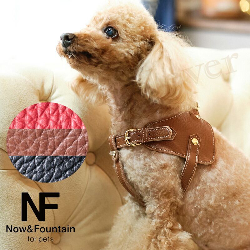楽天市場】【複数購入で3％OFF】Now&Fountain ボディーベルト A