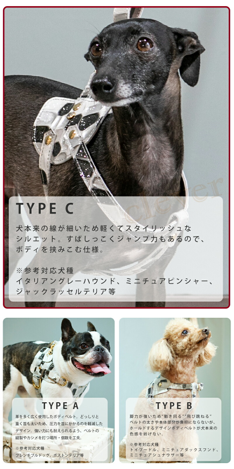 Nowfountain ボディーベルトシリーズ レザー 犬 Cタイプ 22限定モデル ペット 本革