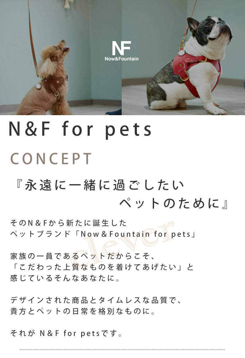 Nowfountain リードシリーズ 本革 タイプ ペット 犬 22限定モデル レザー