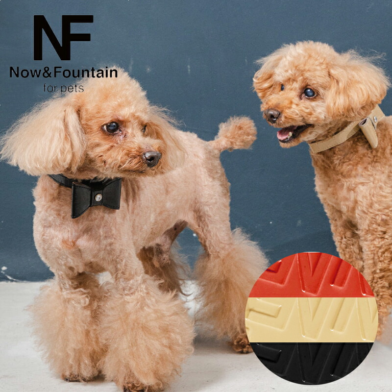 Now&Fountain 首輪 Mサイズ ジュエリーエンボス トイプードル ミニチュアダックスフンド ミニチュアシュナウザー 首輪 犬 ペット レザー リード 日本製 本革【正規代理店】 ラッピング可