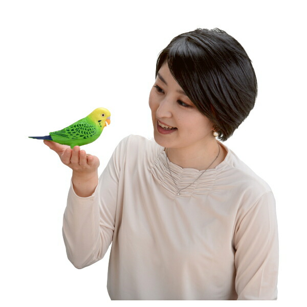 本物そっくり 脳トレ 天才インコちゃん 手乗りインコ 天才インコちゃん ゲーム 音声認識 本物そっくり 小鳥 令和コンタクト楽しくおしゃべり お歌もうたいます 毎日おしゃべり 電子玩具 キッズ家電 コミュニケーショントイ タカラトミー クイズ 宅送