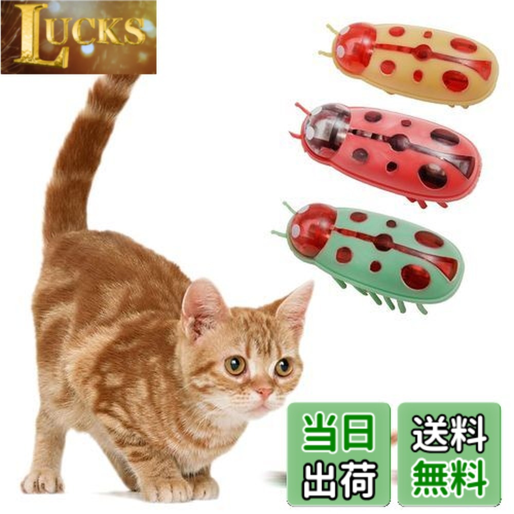 楽天市場】【送料無料】KASELIN 電動おもちゃ 虫 3個セット 電池式猫