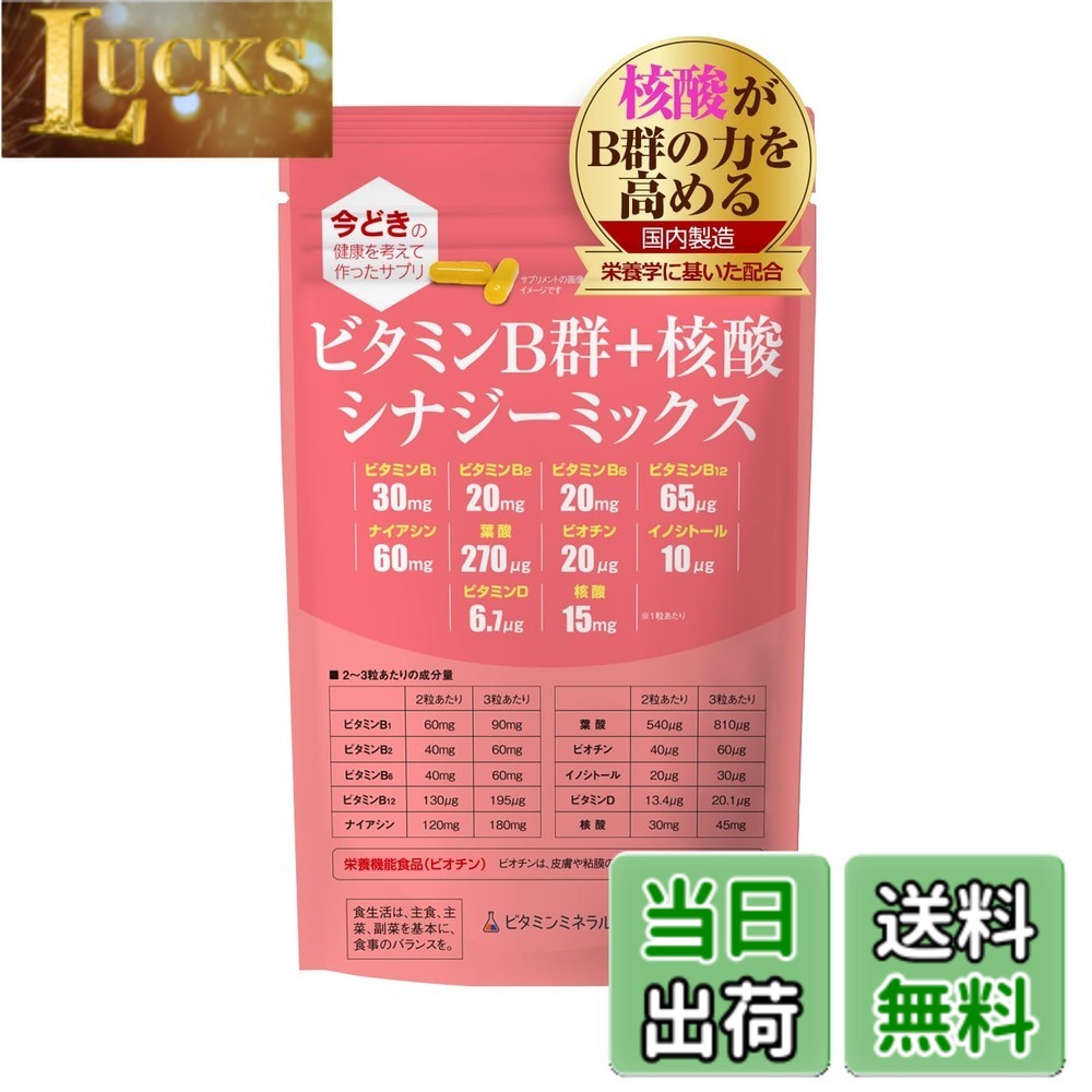 【送料無料】ビタミンB群+核酸 シナジーミックス サイズ:1袋