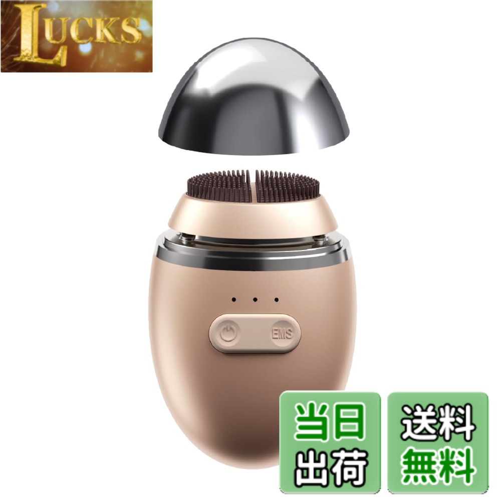 【貨物輸送無料】ZOGANKIN(ゾーガンキン) オーヴォ 色：単品