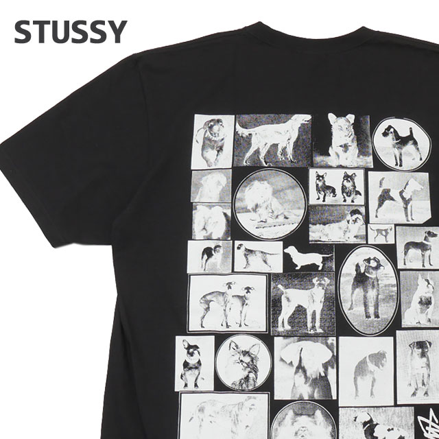 楽天市場】【月間優良ショップ7度受賞】 新品 ステューシー STUSSY 