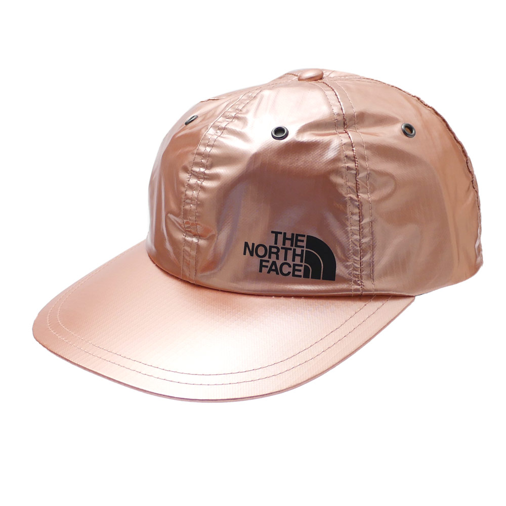 supreme x north face cap