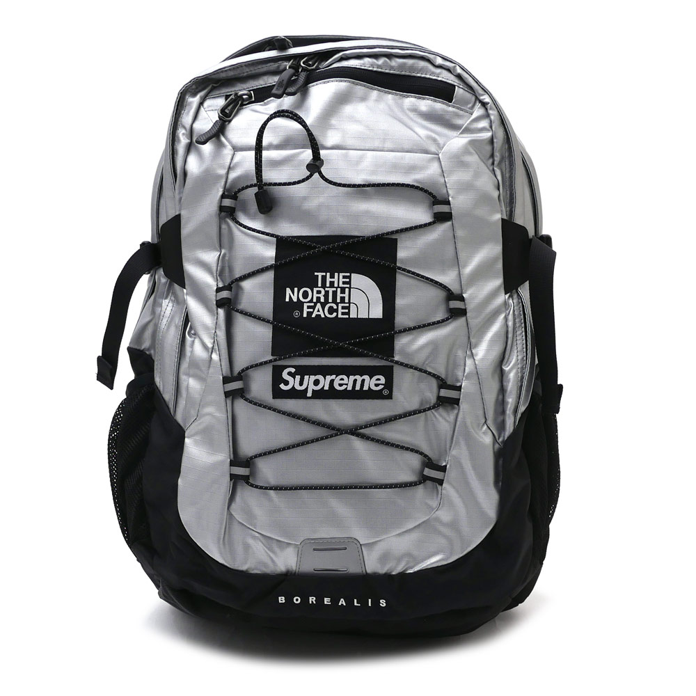 supreme the north face silver