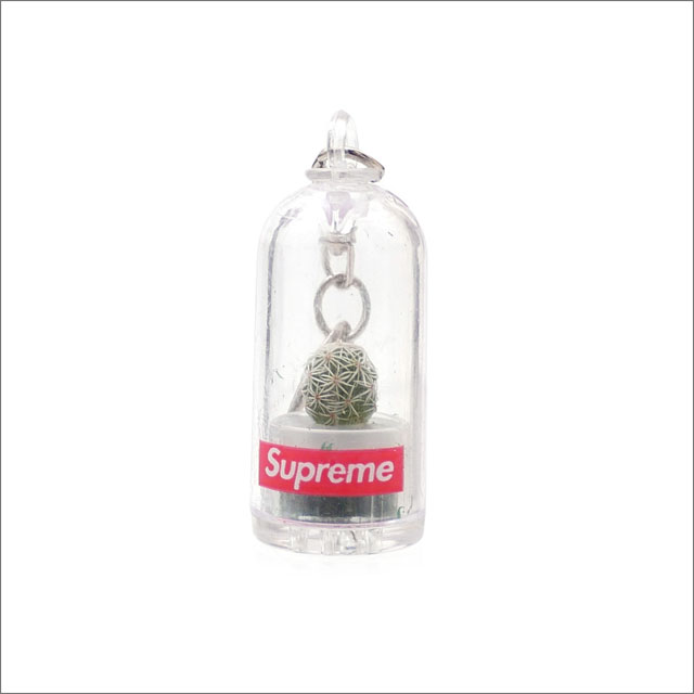 【楽天市場】【数量限定特別価格】 シュプリーム SUPREME Cactus Keychain キーチェーン キーホルダー CLEAR