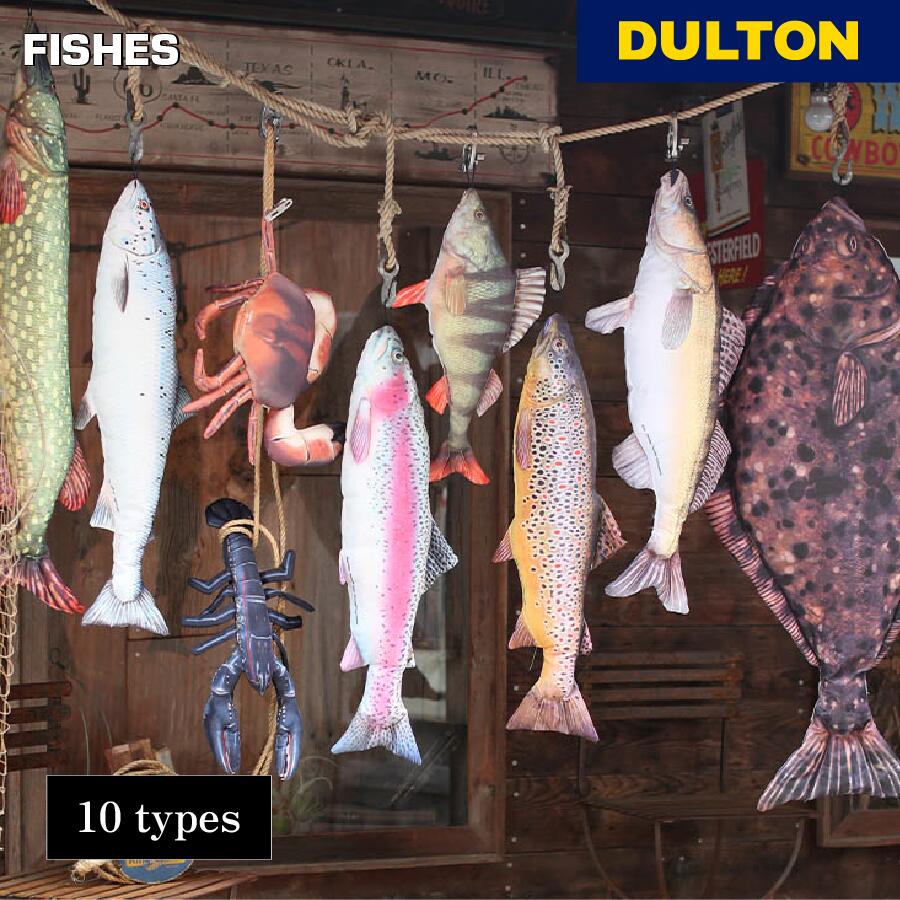 楽天市場】【ﾒｰｶｰ取り寄せ】FISHES PIKE195【ダルトン DULTON