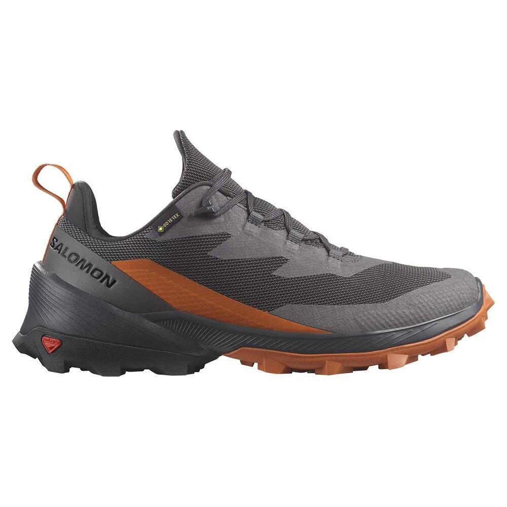 サロモン クロス オーバー 2 ゴアテックス ハイキング シューズ （ Magnet/Phantom/SpiceRoute ） | SALOMON Cross Over 2 gore-tex hiking shoes [t]
