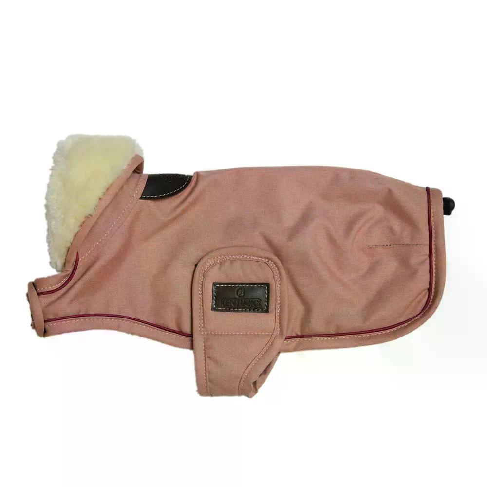 ブルーグラスの州 WP 飼い犬 上衣 （ Coral ） | KENTUCKY WP Dog Jacket  [t]