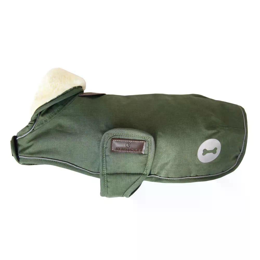 ブルーグラスの州 お水校正刷り 飼い犬 上衣 （ OliveGreen ） | KENTUCKY Waterproof Dog Jacket  [t]