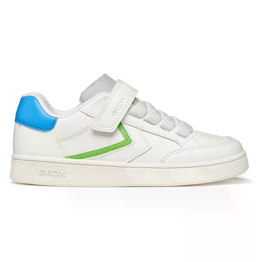 ジェオックス エクリーパー スニーカー お坊っちゃん （ White/LightGreen ） | GEOX Eclyper sneakers   Junior  [t]