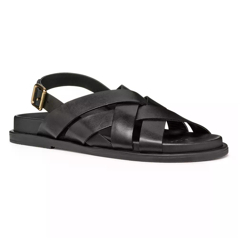 ジェオックス アデラッシュ サンダル ウーマン （ Black ） | GEOX Adelash sandals woman [t]｜クライムスワールド 店