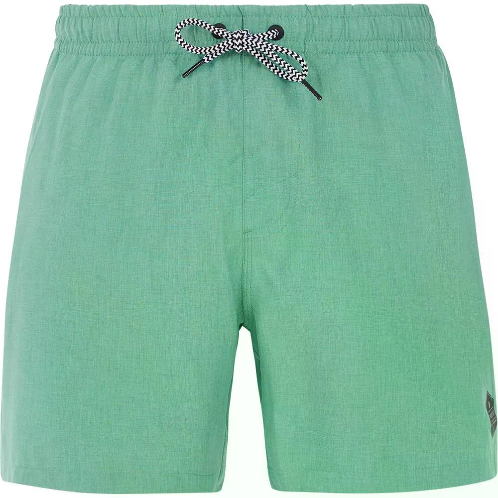 不服申し立て デイビー スイムショーツ （ FrostGreen ） | PROTEST Davey Swim Shorts  [t]