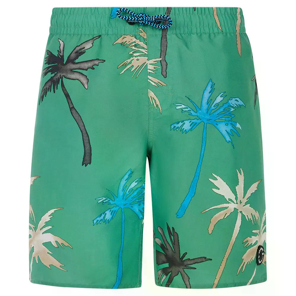 不服申し立て ブランドン スイムショーツ （ CactusGreen ） | PROTEST Brandon Swim Shorts  [t]