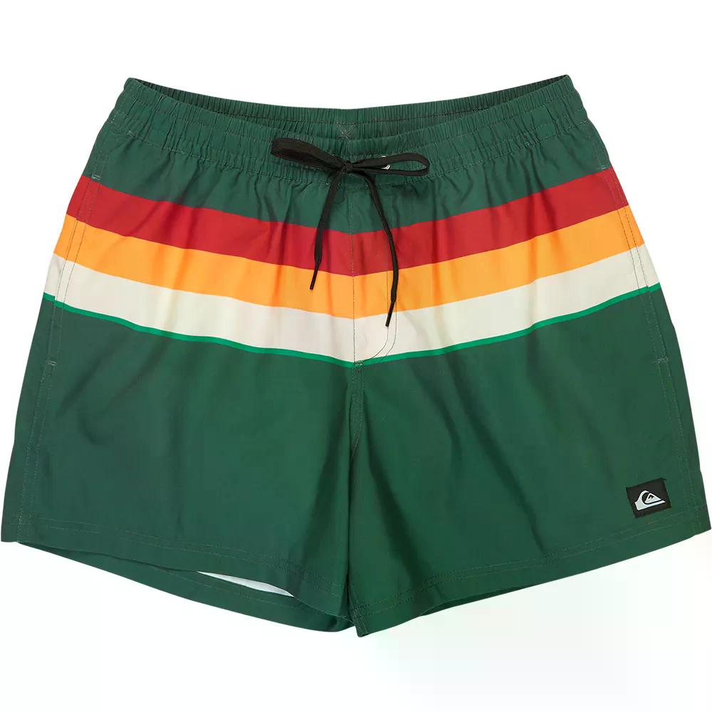 クイックしろがね色 エブリデイ プッディングテッド ヴォレー 15in スイムショーツ （ ForestOutsideStripe ） | QUIKSILVER Everyday Printed Volley 15\u0027\u0027 Swim Shorts  [t]