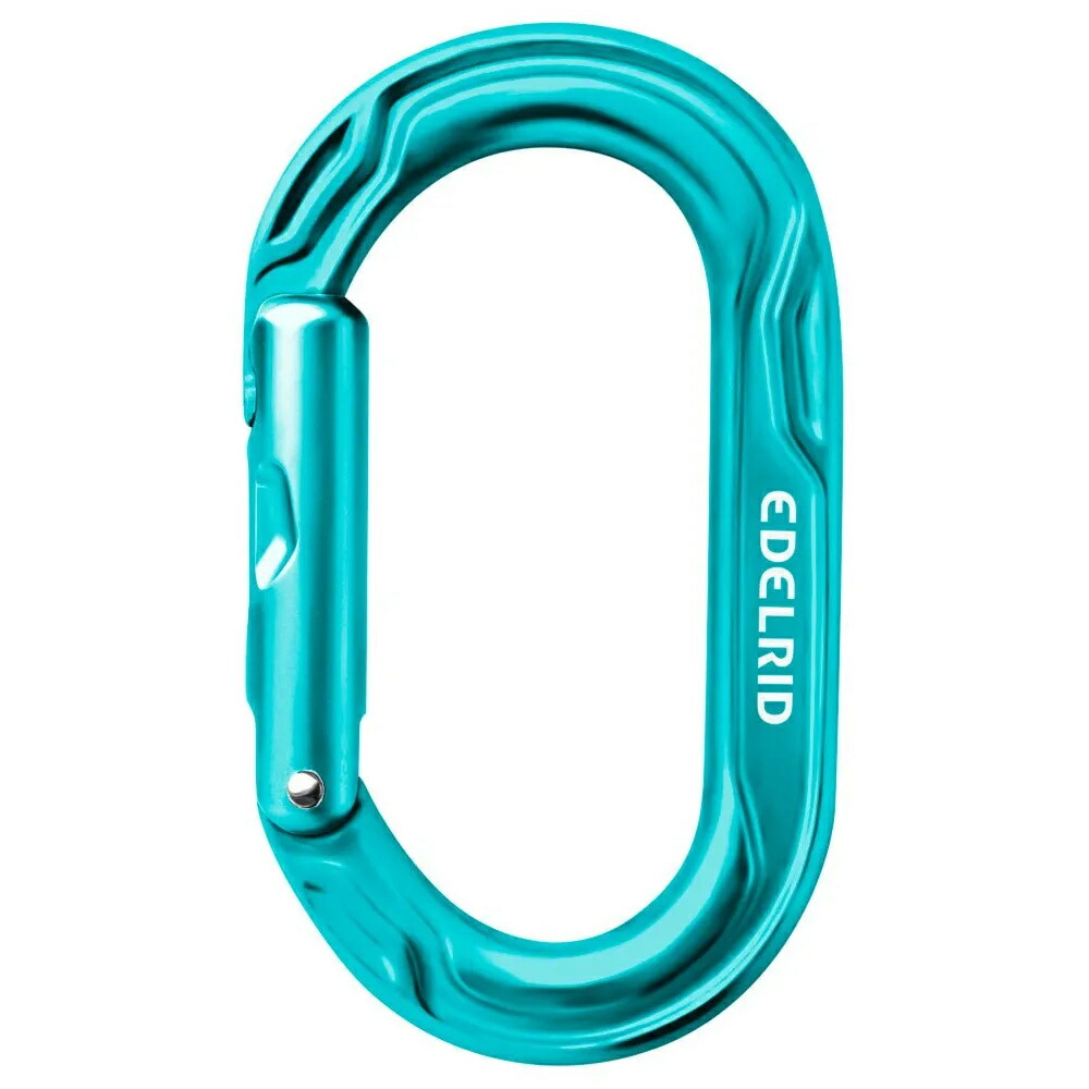 エーデルリッド キウイ スナップ フック （ Icemint ） | EDELRID Kiwi Snap Hook [t]