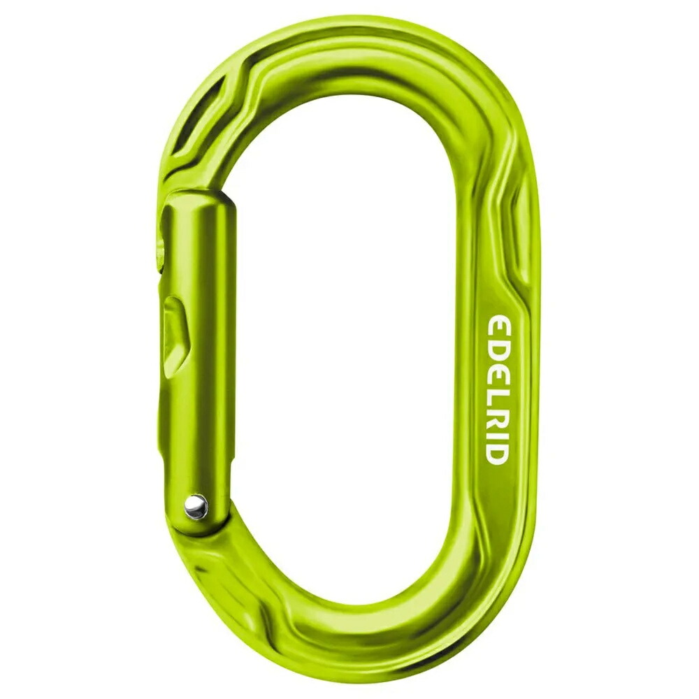 エーデルリッド キウイ スナップ フック （ Oasis ） | EDELRID Kiwi Snap Hook [t]