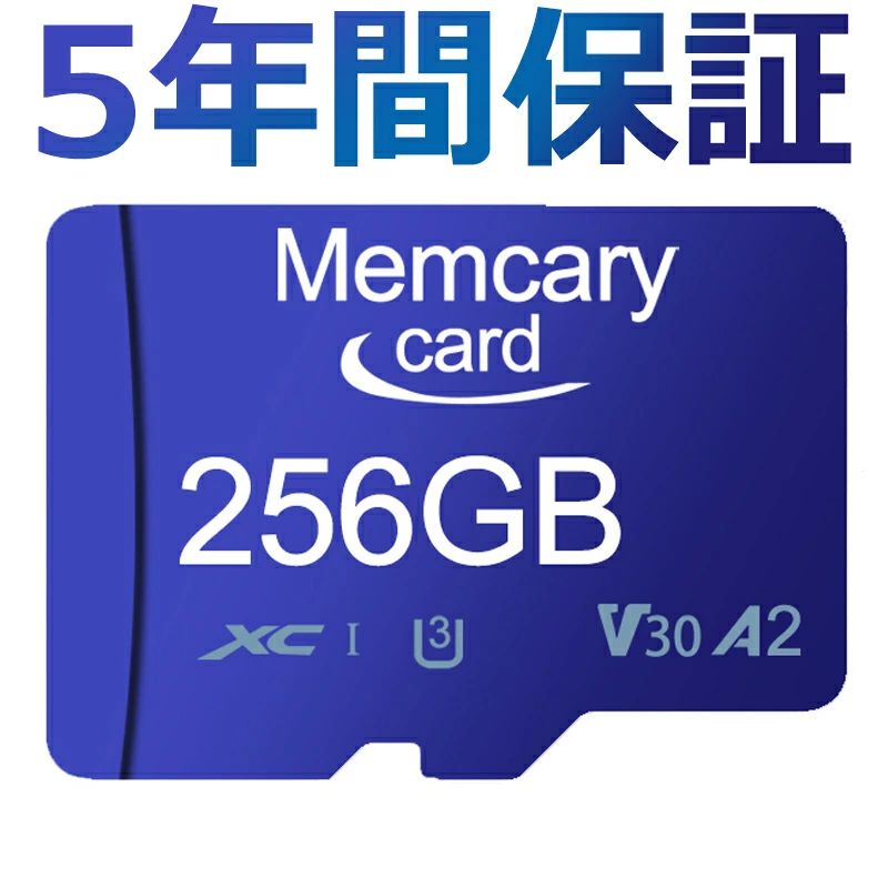 microsdxchccard66_1.jpg