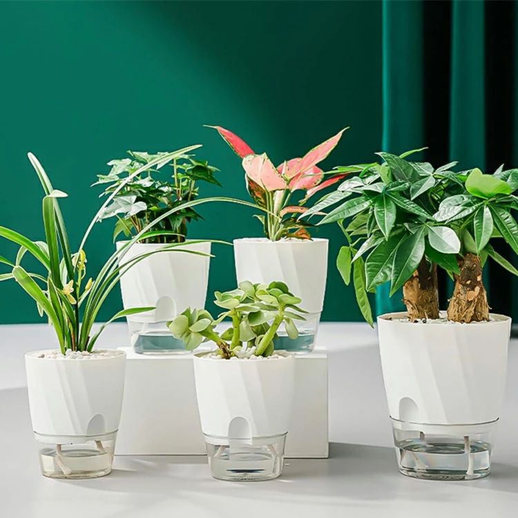 楽天市場】【店長おすすめ】植木鉢 自己給水 プランター ポット