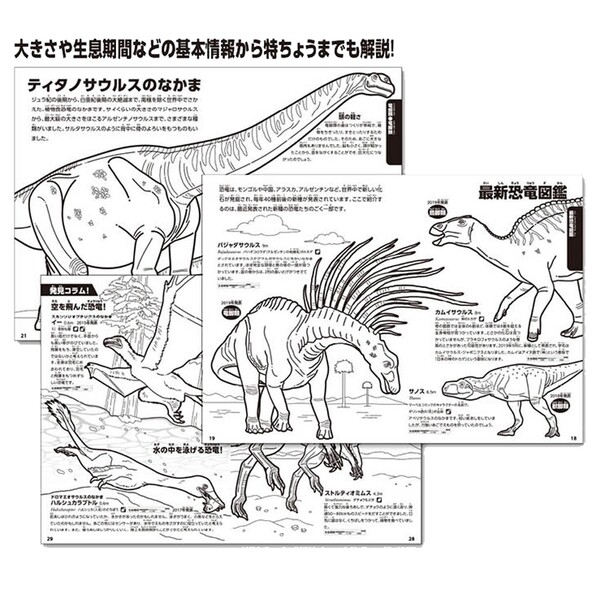 楽天市場 1000円以上お買い上げで送料無料 学べる ぬりえ 動く図鑑 Move 恐竜 きょりゅう かっこいい 勉強 メール便発送 Clips クリップス