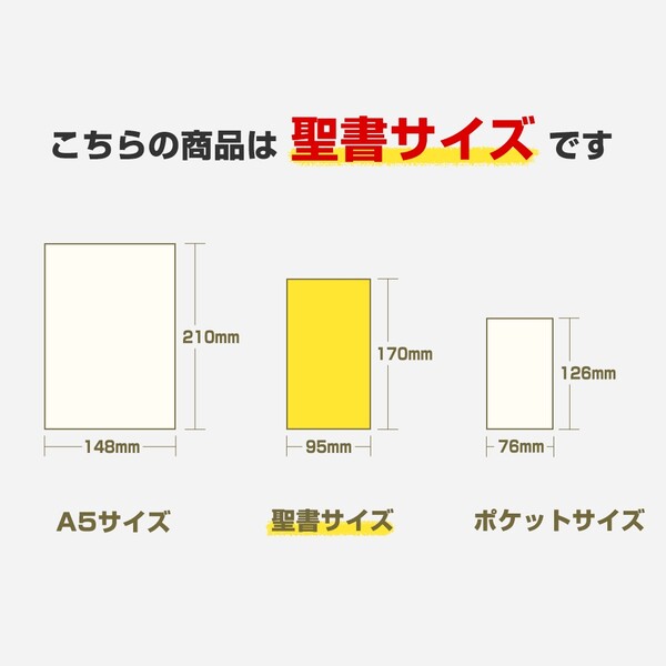 数量は多 Bindex バインデックス 2023年 システム手帳 リフィル バイブルサイズ 月間ダイアリー5 カレンダータイプ シンプル -  メール便発送 www.tacoya3.com