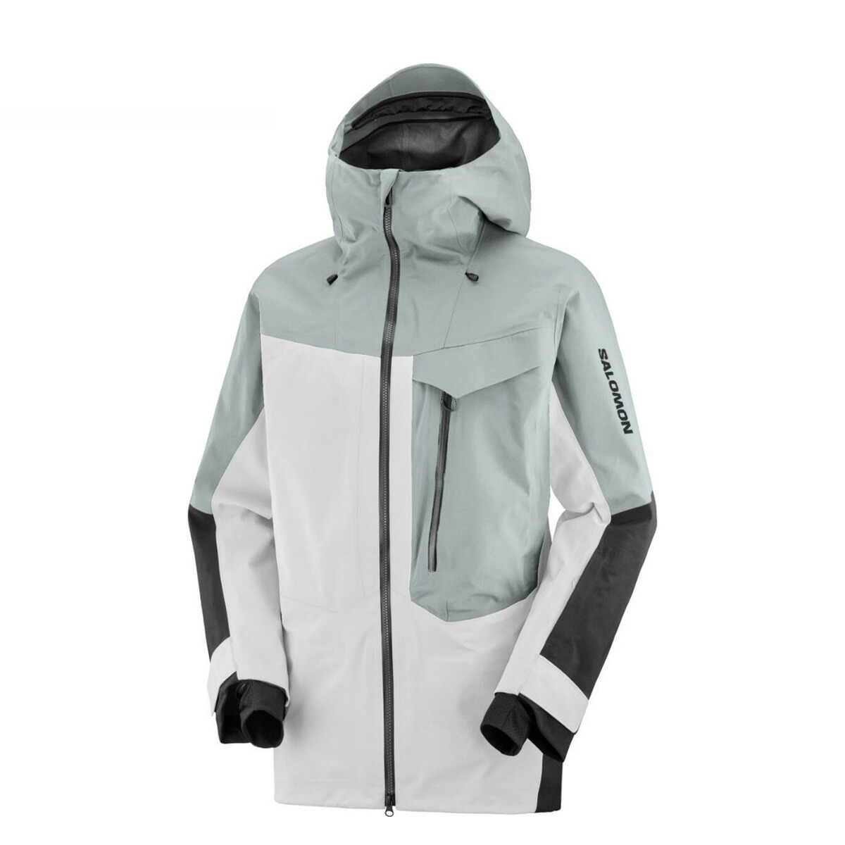SALOMON サロモン スキーの板 お召しもの レディース 上衣 2025 MOON PATROL GORETEX JKT W