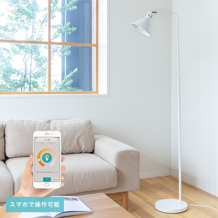 楽天市場】フロアランプ 1灯 フォスキア LF4469 ディクラッセ DI