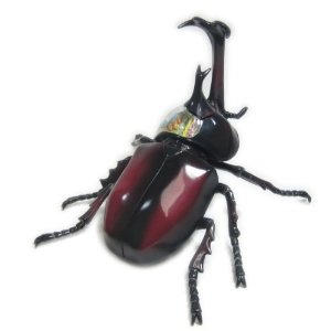 スカイネット 立体パズル 4D VISION 動物解剖 No.06 かぶと虫解剖モデル