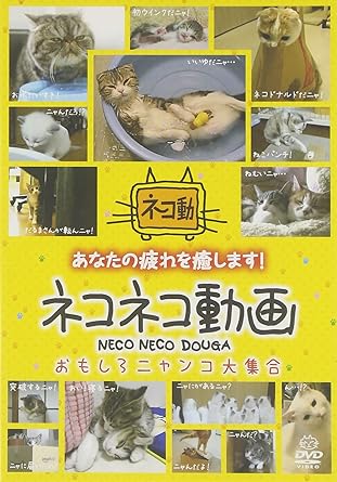 ネコネコ動画 ~おもしろニャンコ大集合~ [DVD]｜クロソイド屋　店