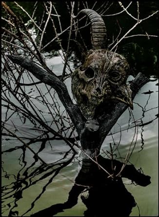 the　GazettE　LIVE　TOUR13-14［MAGNIFICENT　MALFORMED　BOX］FINAL　CODA　LIVE　AT　01．11　YOKOHAMA　ARENA（初回生産限定盤/ＤＶＤ/SRBL-1621｜クロソイド屋　店