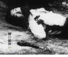 [新品]裸の銃弾 [DVD]｜クロソイド屋　店