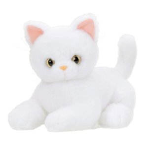 ふわふわだっこ 夢こねこ ターキッシュアンゴラ｜クロソイド屋　店