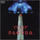 【新品・未開封】8・11 パゴダ-イン・芦ノ湖-/DVD/TOBF-91032廃盤 希少 正規品|クロソイド屋 店