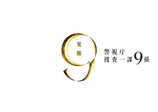 TEAM 〜警視庁特別犯罪捜査本部〜 DVD 全5巻 全巻セット チーム TEAM～警視庁特別犯罪捜査本部 DVD 全5巻 全巻セット ケース付