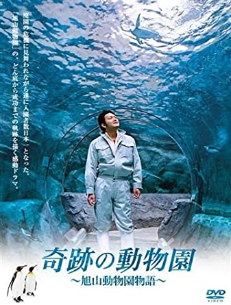 格安 楽天市場 奇跡の動物園 旭山動物園物語 Dvd 新品 マルチレンズクリーナー付き クロソイド屋 楽天市場店 楽天市場 Lexusoman Com