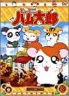 [新品・未開封]DVD　とっとこハム太郎（18）/ＤＶＤ/COBC-4174 廃盤 希少 正規品｜クロソイド屋　店