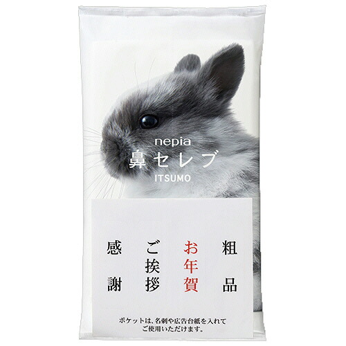 王子ネピア　ネピア鼻セレブ　ＩＴＳＵＭＯ　ＰＬＵＳ　４８組／個　１セット（１００個：１０個&times;１０パック）【法人限定】【送料無料】｜クラウドショップ店