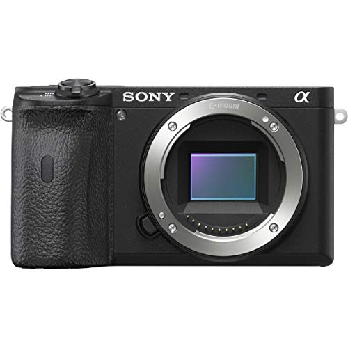 ソニー SONY ミラーレス一眼 α6600 ボディ ブラック ILCE-6600｜cloudstore