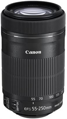 Canon 望遠ズームレンズ EF-S55-250mm F4-5.6 IS STM APS-C対応 EF-S55-250ISSTM｜cloudstore